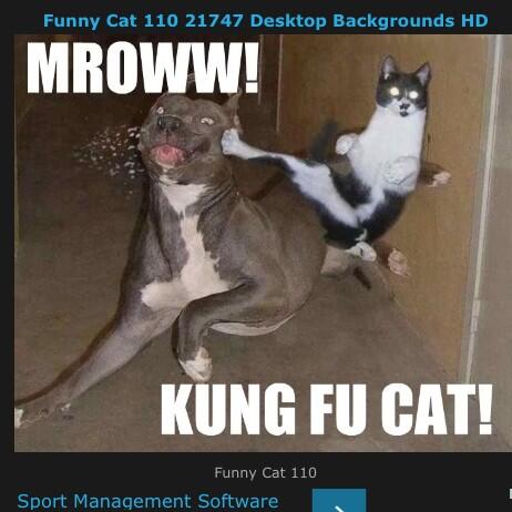 hernantony650's tweet image. 