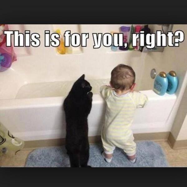 hernantony650's tweet image. 