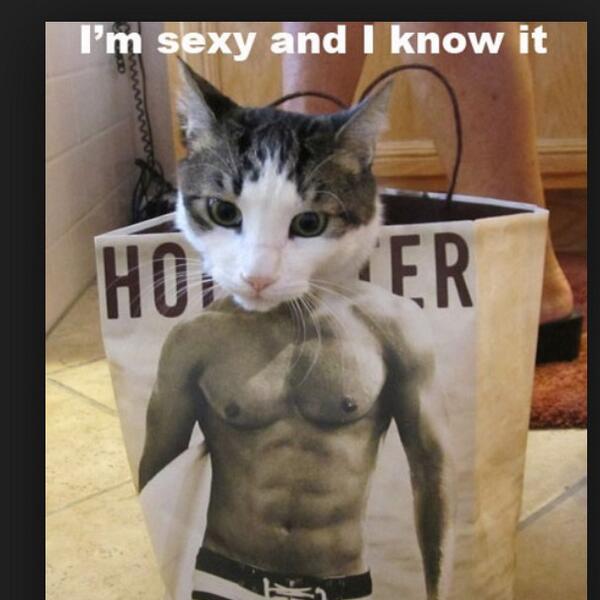 hernantony650's tweet image. 