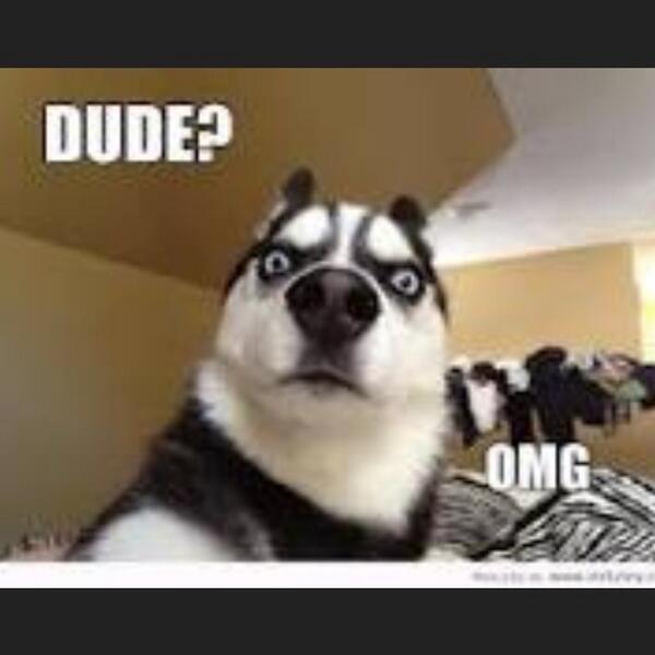 hernantony650's tweet image. 