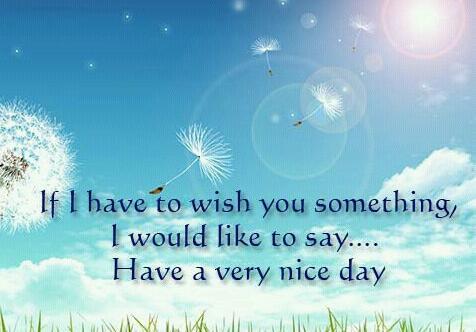 sun11991 tweet picture