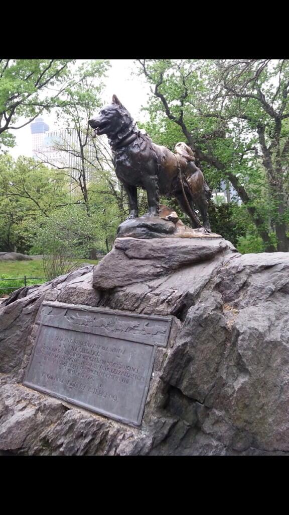 BretteCummins's tweet photo. Balto! Central Park! NY(: http://t.co/jXGxSKwjbw