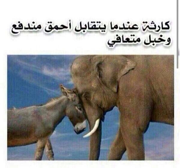 mostaf_97's tweet photo. http://t.co/d1S4ao3Awt