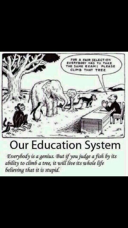 WAE2's tweet image. Okay, everyone climb that tree. @HarvardHBS @BerkeleyHaas @OxEntrepreneurs @OxEntrepreneurs @BeUnreasonable @WAE2Go