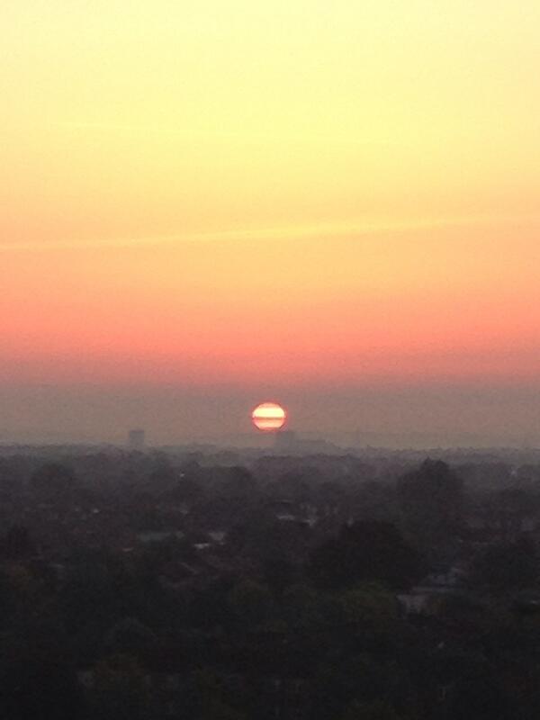 Maya Campbell tweet media