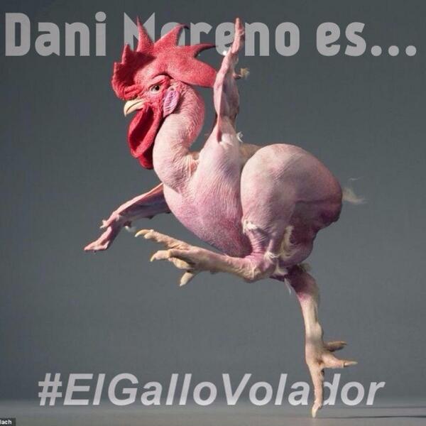 los40dancefest's tweet photo. Corremos ....que nos las"pelamos"!
Buenos días y feliz #juernes !
#ElGalloVolador !@maximafm_radio @djdanimoreno http://t.co/UzeAmDQvj2
