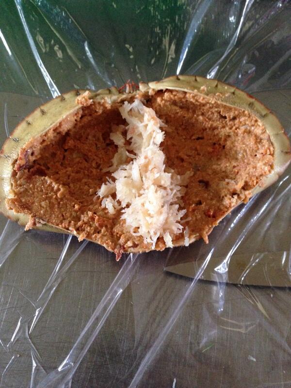 Just making these lovely dressed crab ( poos) for the shops !! Anyone want some??  #fish