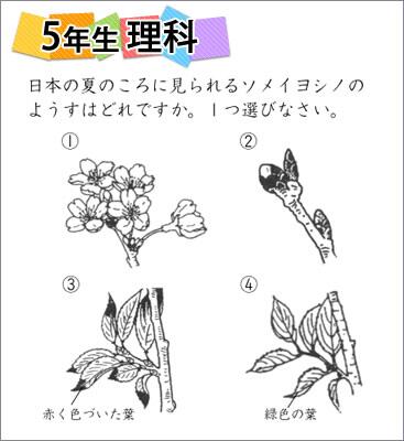 四谷大塚 公式アカウント On Twitter 四谷大塚 全国統一小学生