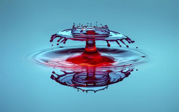 WorldInterestin tweet picture