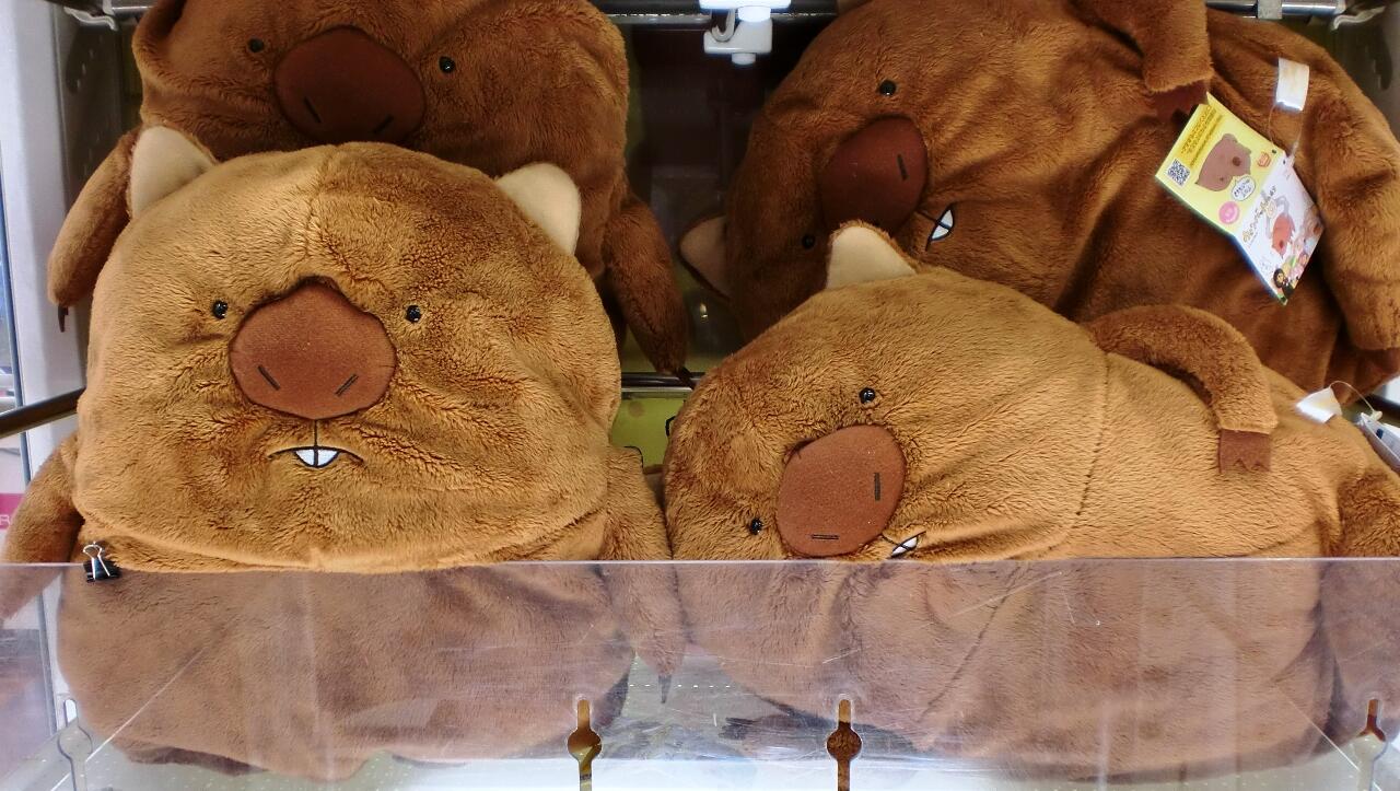 セール，お得】 ウォンバットさんたち ぬいぐるみセット(3個)