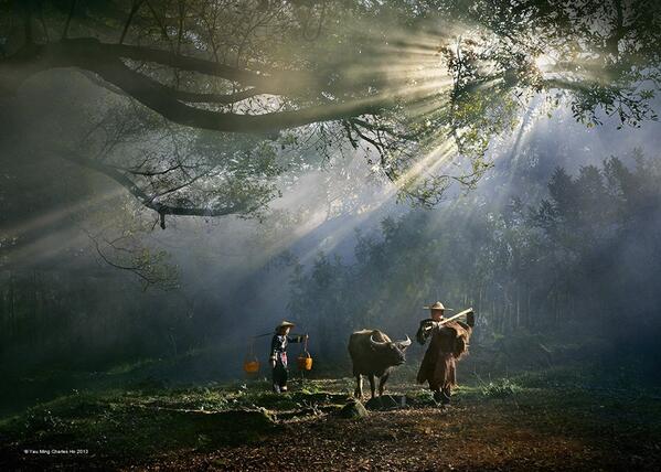 Gabriele_Corno's tweet image. "TwiLight" in South China by Yau Ming Charles Ho #Harmony #Sunrays #Silence #CGE #mystic #serenitynow #farmer #zen