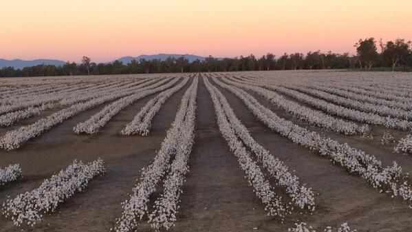 Matt Norrie tweet media