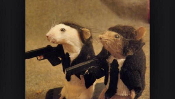 CrapTaxidermy's tweet image. &quot;I believe that you are in possession of a briefcase that belongs to my client Mr Mousellous Wallace.&quot;