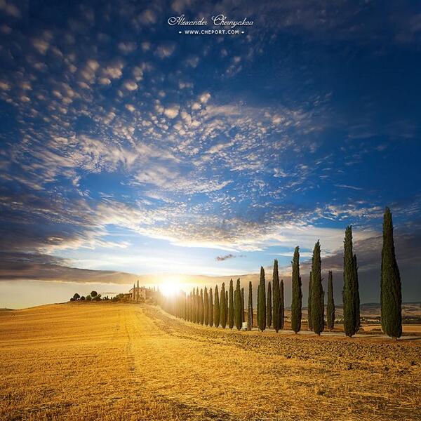 VisitItalianPla's tweet image. Sunset over golden field nd Villa on the hill #Tuscany #Italy di Alexander Chernyakov @ToscananelCuore #VIPItaly