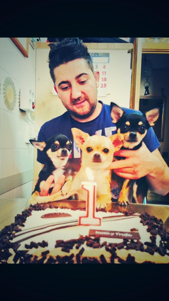 chloecita2015's tweet photo. Feliz cumple 1 año pequeñas !!! http://t.co/OU9FjQmxU5