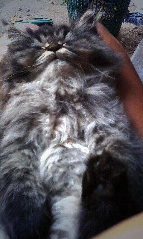 desy_aby's tweet photo. Milo milo bobok dulu.... http://t.co/xdMY8jedhb