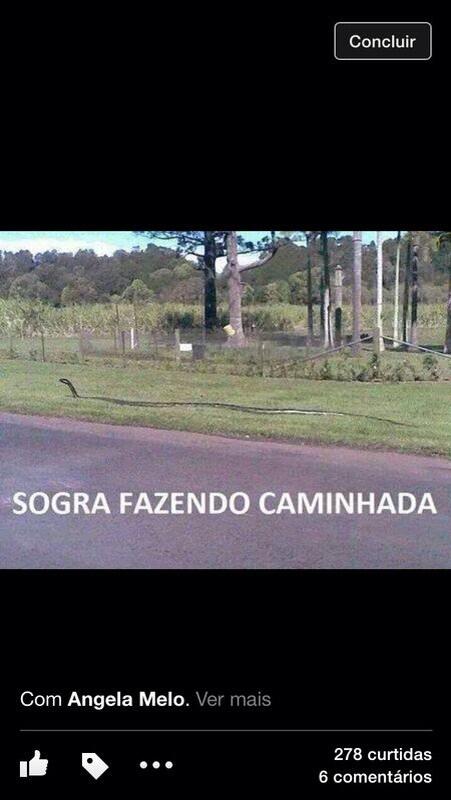 Minha sogra na caminhada matinal