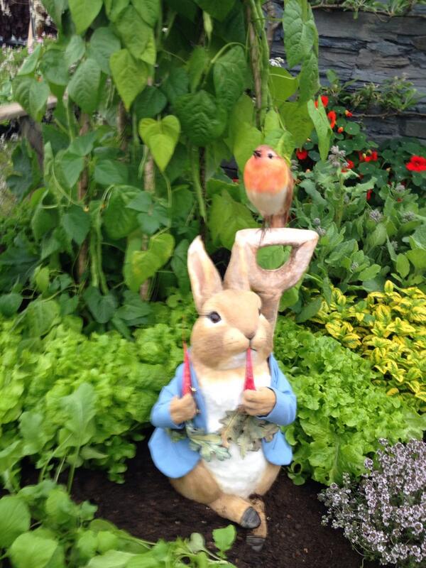 Look who's turned up at #RHSChelsea Fantastic display @hooksgreenherbs I love Peter Rabbit