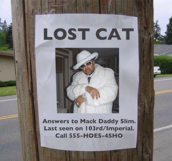 #StreetPosters @ThePoke 
LOST CAT