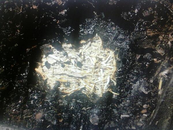 Does anyone remember strammit the straw deck 
Very flammable and germinates if wet and may have asbestos topping