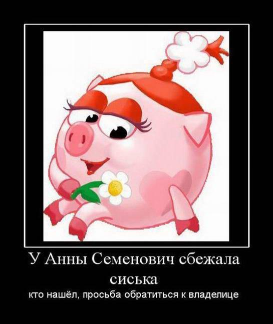 Мемы демотиваторы. Муж смешарики демотиватор. Демотиватор смешарики. Фразы из смешариков. Демотиватор смешарики.