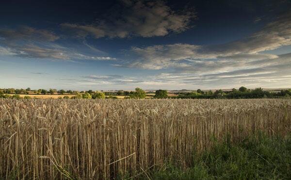 Congratulations to Howard Sherwood who has won the 2014 Oxfordshire Cotswolds Photographic Competition