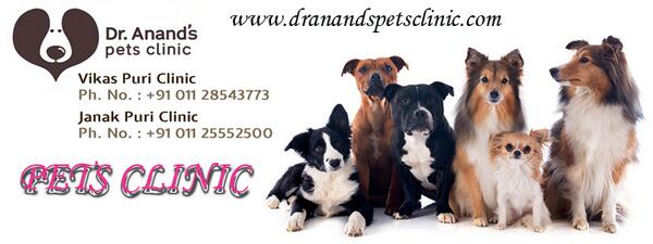 dr anand pet clinic vikaspuri