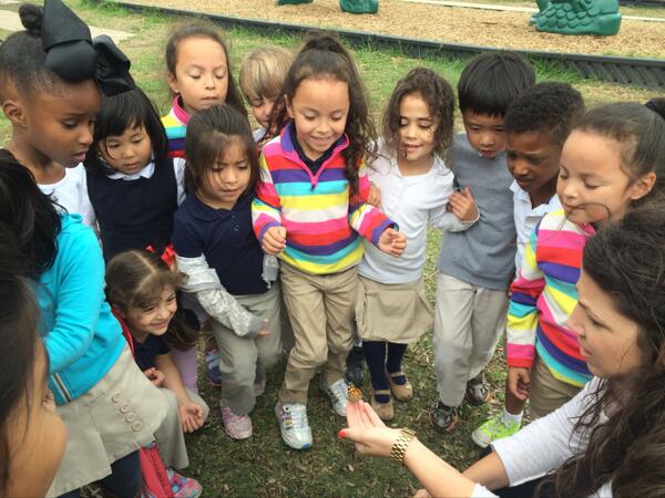 Adam Stephens (@adam_stephens) on Twitter photo RT <a href="/MsHaleyPreK/">Haley Boone</a>: Our caterpillars became butterflies, so yesterday we set them free outside! #ibpyp #HISD #txed RT <a href="/MsHaleyPreK/">Haley Boone</a>: Our caterpillars became butterflies, so yesterday we set them free outside! #ibpyp #HISD #txed