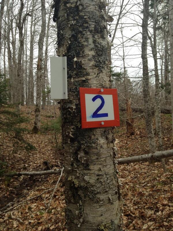 FitzTrailRun's tweet photo. Marking the trail for the big day!!! http://t.co/0O6vpnkH1C
