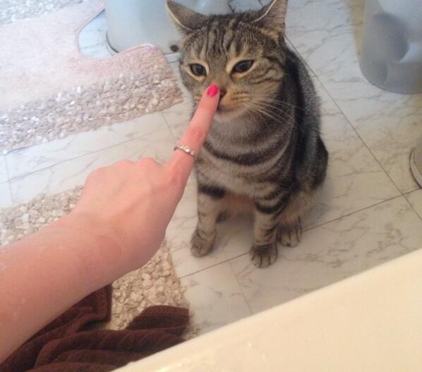 Tombola bingo official site