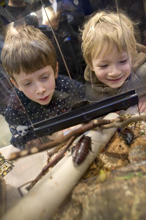 University of Plymouth (@plymuni) on Twitter photo This Sat, bugs and all manner of creepy crawlies return to <a href="/PlymUni/">University of Plymouth</a> for a day of family fun. plymouth.ac.uk/pages/dynamic.… This Sat, bugs and all manner of creepy crawlies return to <a href="/PlymUni/">University of Plymouth</a> for a day of family fun. plymouth.ac.uk/pages/dynamic.…