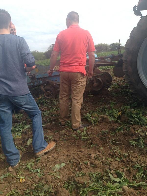 Nigel getting stuck into the potato picking <a href="/NicolaMcGuinnes/">Nicola Mcguinness</a> <a href="/dg_freeman/">David Freeman</a> <a href="/nigel01546242/">nigel</a>