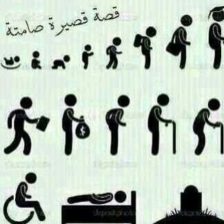 hamshams9's tweet photo. http://t.co/idMUZKLKVo