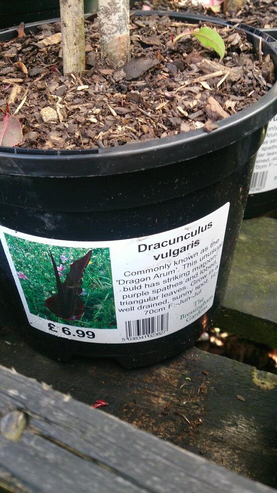 sdhorticulture's tweet photo. Want it!!! http://t.co/pb2Mg4q3xb