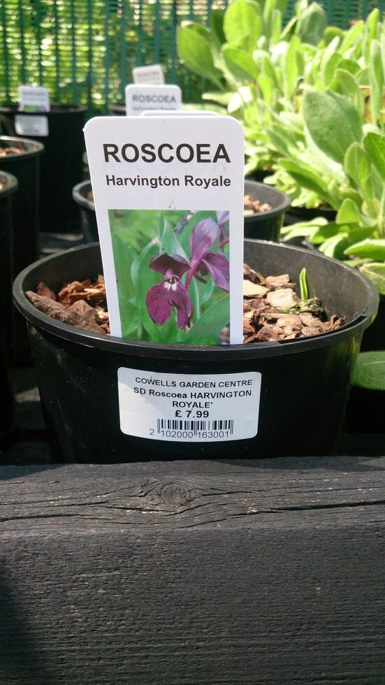 sdhorticulture's tweet photo. http://t.co/dtpMHbQaeb