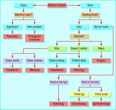 Med Chart