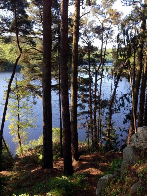 Permalien de l'image intégrée