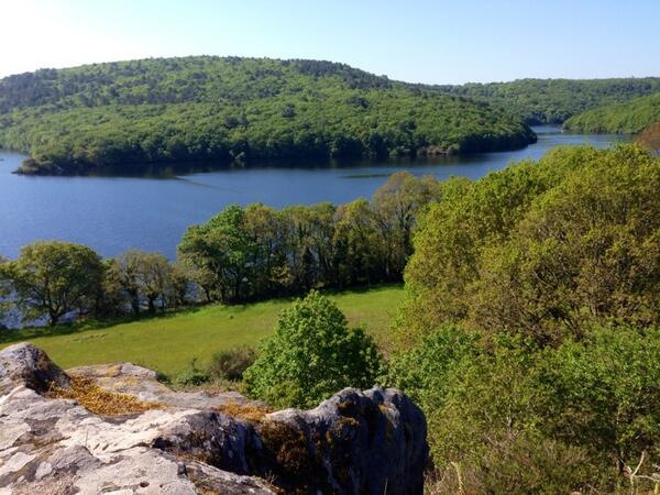 Permalien de l'image intégrée