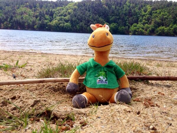 Permalien de l'image intégrée