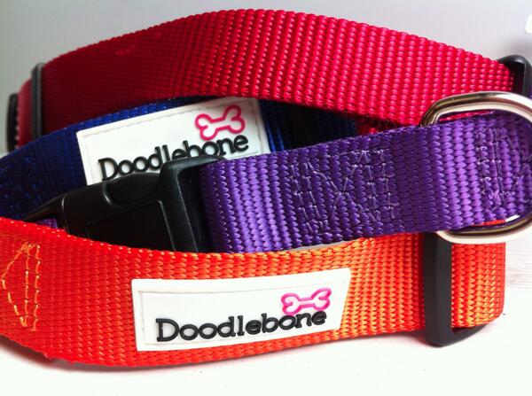 Doodlebone tweet media