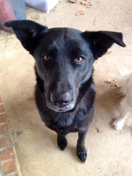 PoloPlaz tweet media