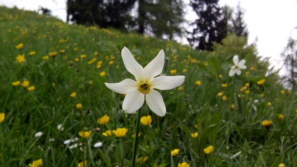 MB OSSO SERVICE tweet media