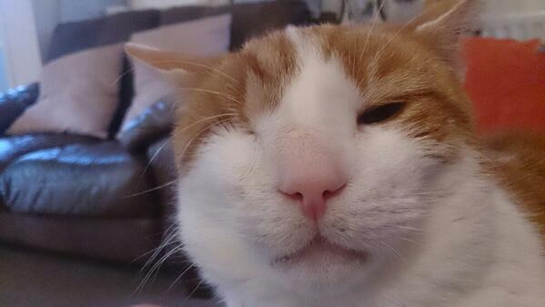 lander_karen's tweet photo. Wow, what a snore???!!! Blooming heck, nearly deafening me!!! http://t.co/tFCc9N7RvG