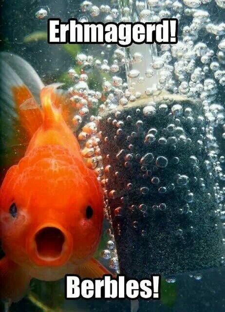 CallumWest0901's tweet photo. Lol http://t.co/gkewkjjWFz