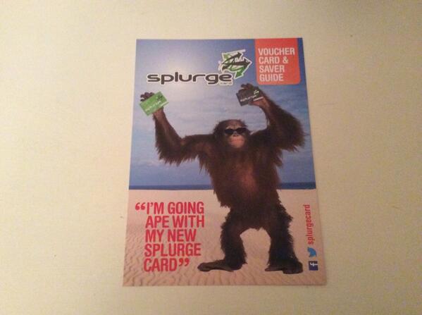 splurgeCard tweet picture
