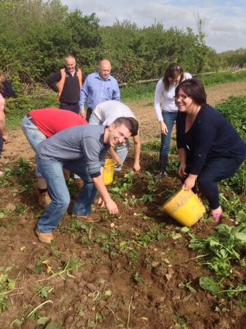 Hope the Tesco team enjoyed the Pembrokeshire earlies they worked so hard for.