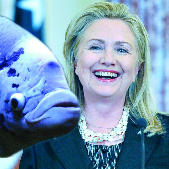 femmefish_'s tweet photo. MY HERO AND ME #HillaryClinton2016 http://t.co/xJKCjCnfVf
