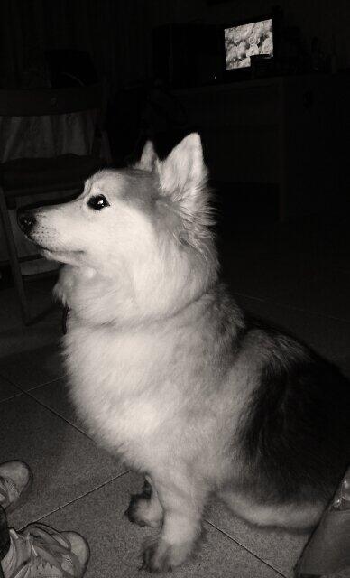 HelenarpRubio's tweet photo. Mi cosa bonita! http://t.co/ewUewqVSxa
