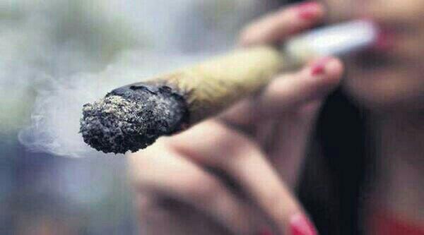 WeedModels's tweet image. 