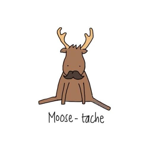 SassyMoose22's tweet photo. I'm thinking about growing a moosetache http://t.co/zd2j2kXgAB
